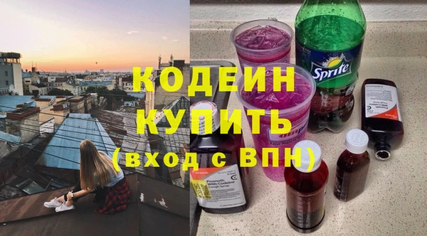 ГАЛЛЮЦИНОГЕННЫЕ ГРИБЫ Богданович